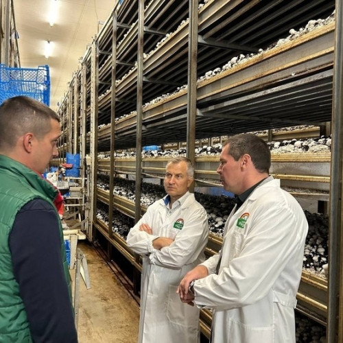 Alexander Chepik visited Mushroom Rainbow Factory at Kursk Region