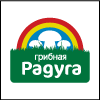 Mushroom Rainbow